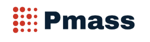Pmass Logo